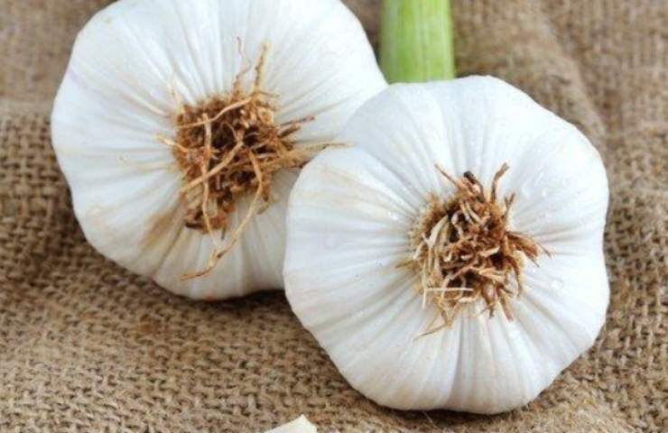 Aglio