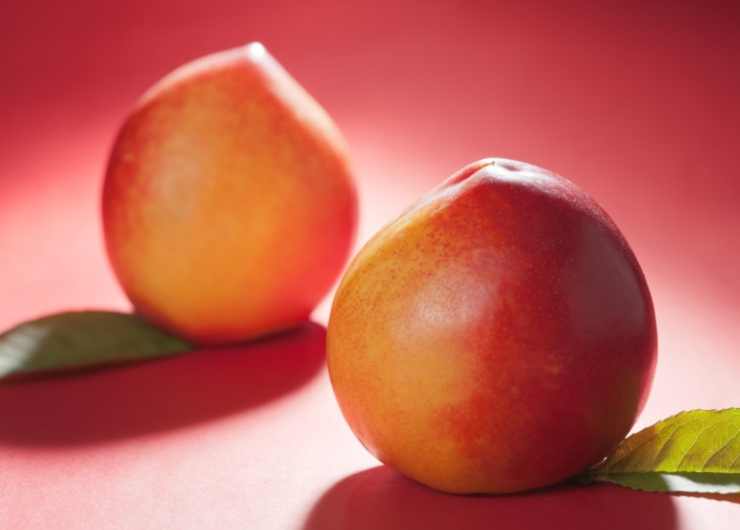 Due pesche