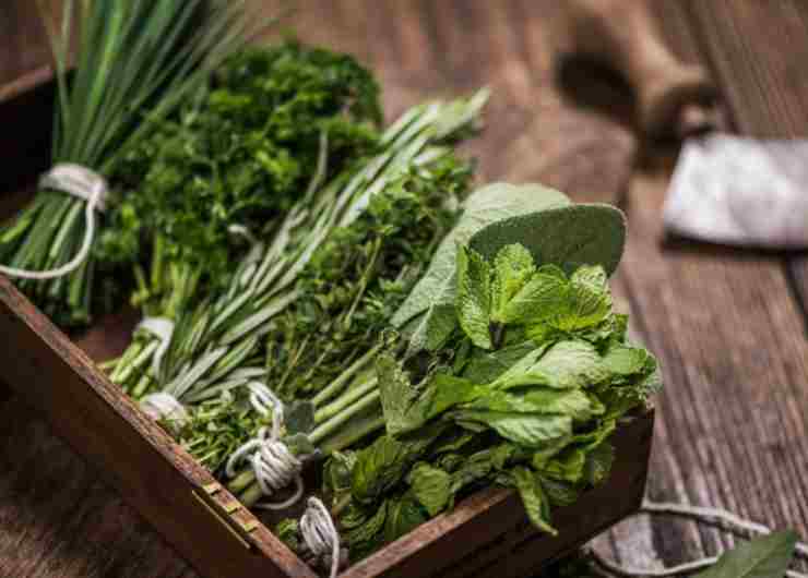 Erbe aromatiche
