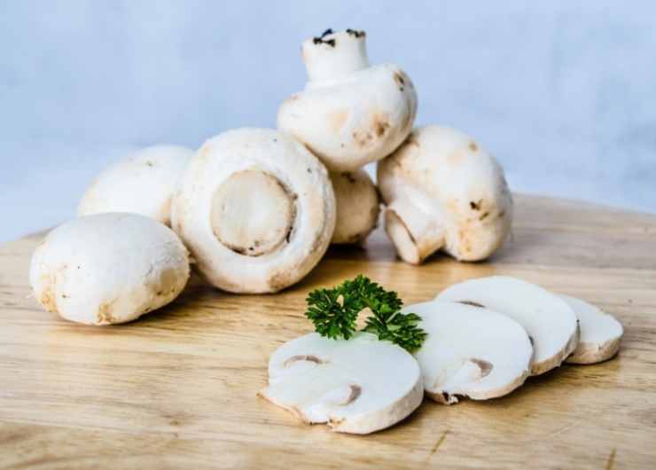Funghi
