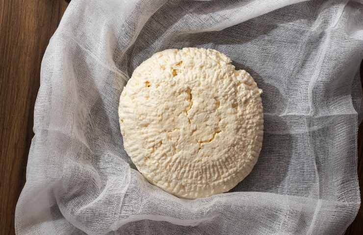 Ricotta salata