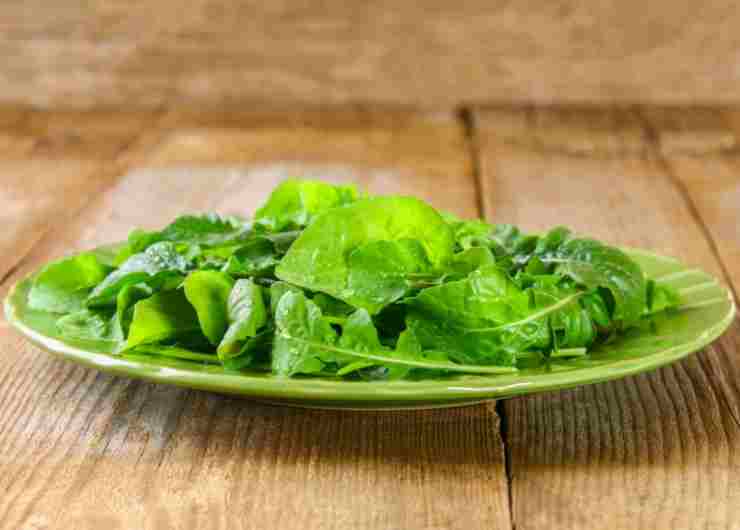 Rucola