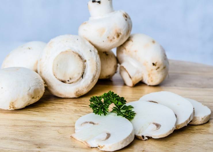 funghi champignon