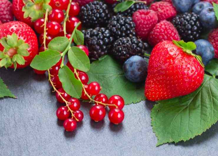 frutti di bosco