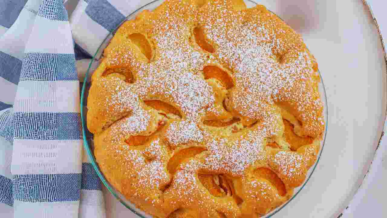 torta al melone