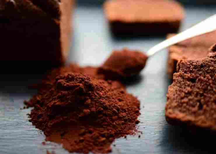 Cacao