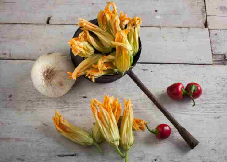 Fiori di zucca