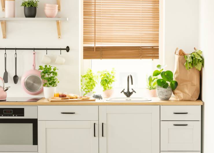cucina davanzale e piante